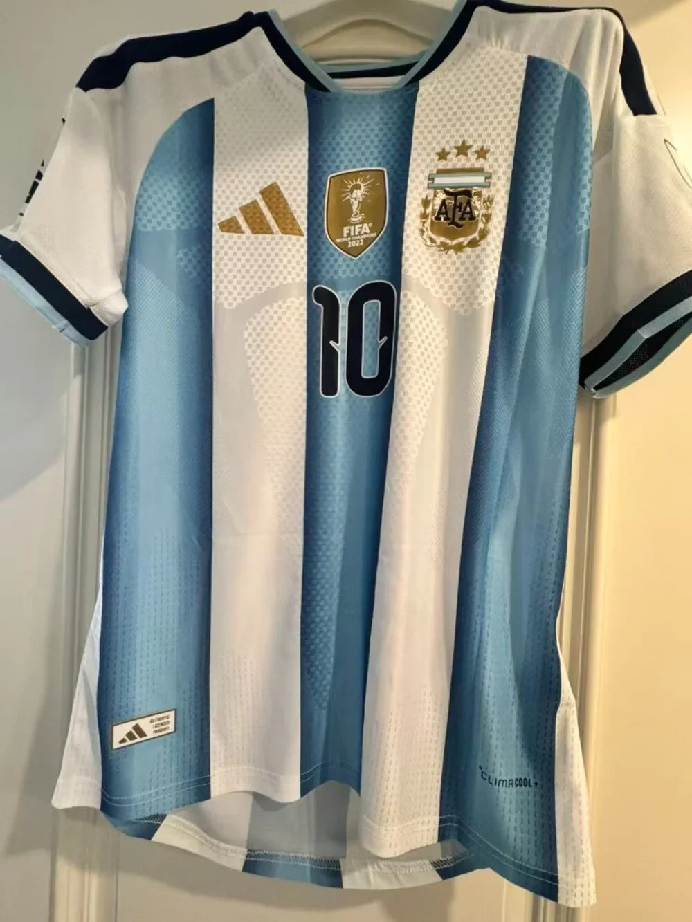2026 World Cup Argentina No 10 Soccer Jersey M - Picture 8 of 8